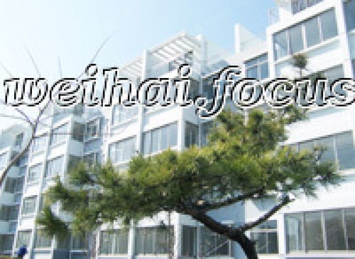 万隆国际爱莲湾二期图片 样板间 装修效果图